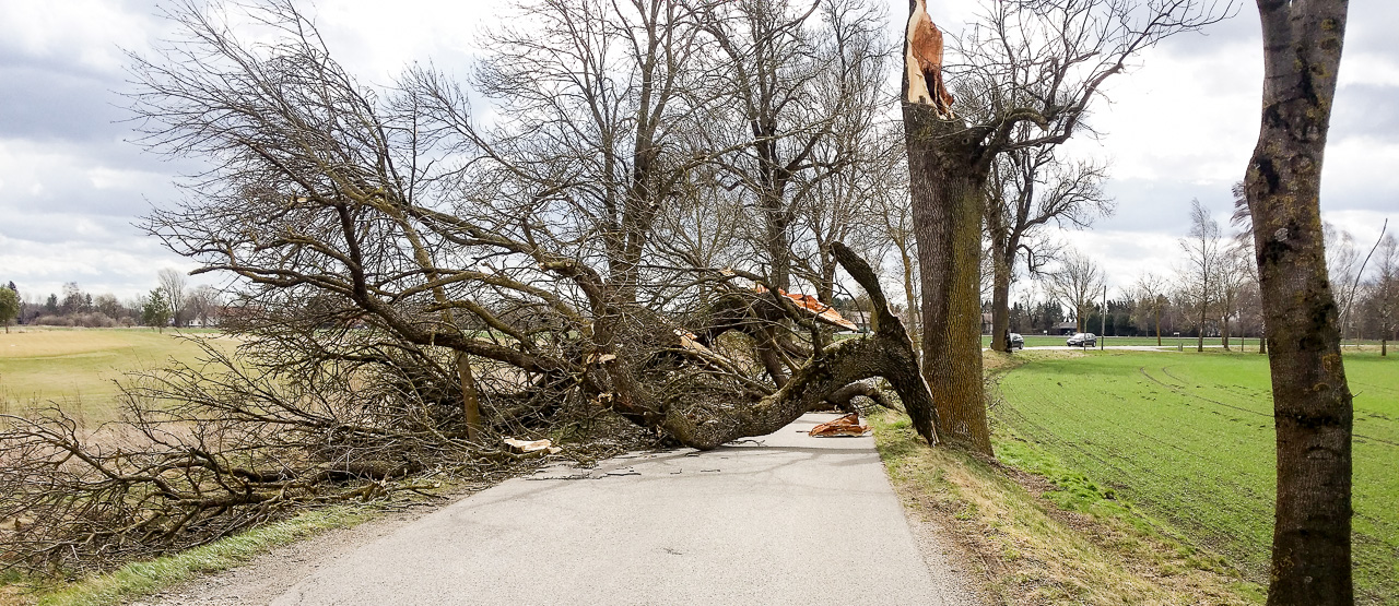 mehrere Unwetterschäden durch den Orkan 