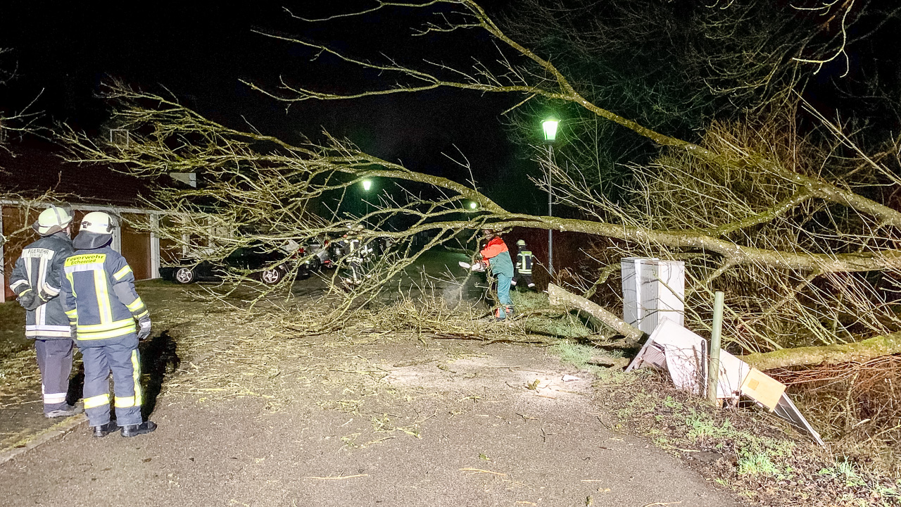 Baum beschädigt Stromkästen