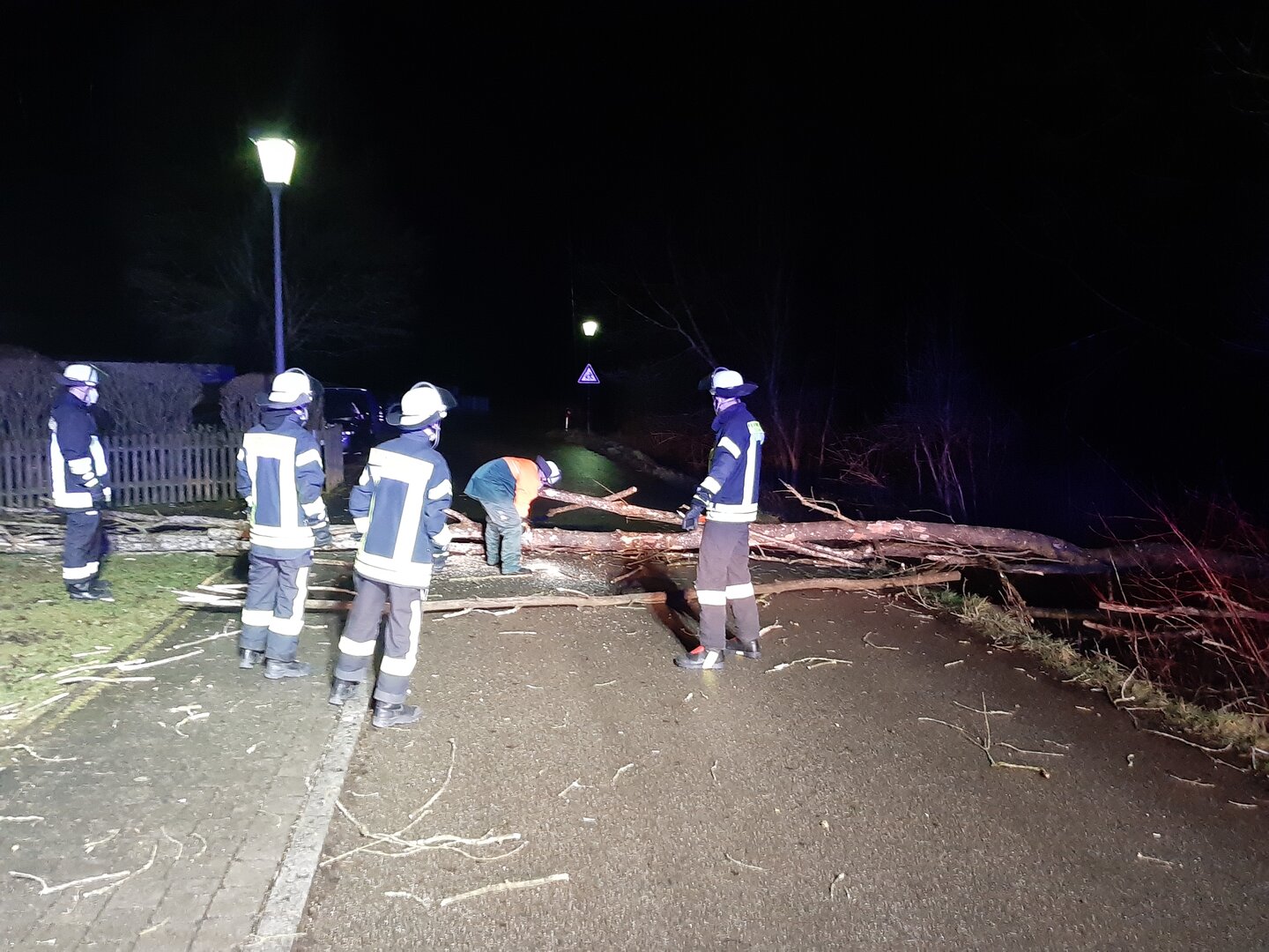 Baum blockiert Anemonenweg